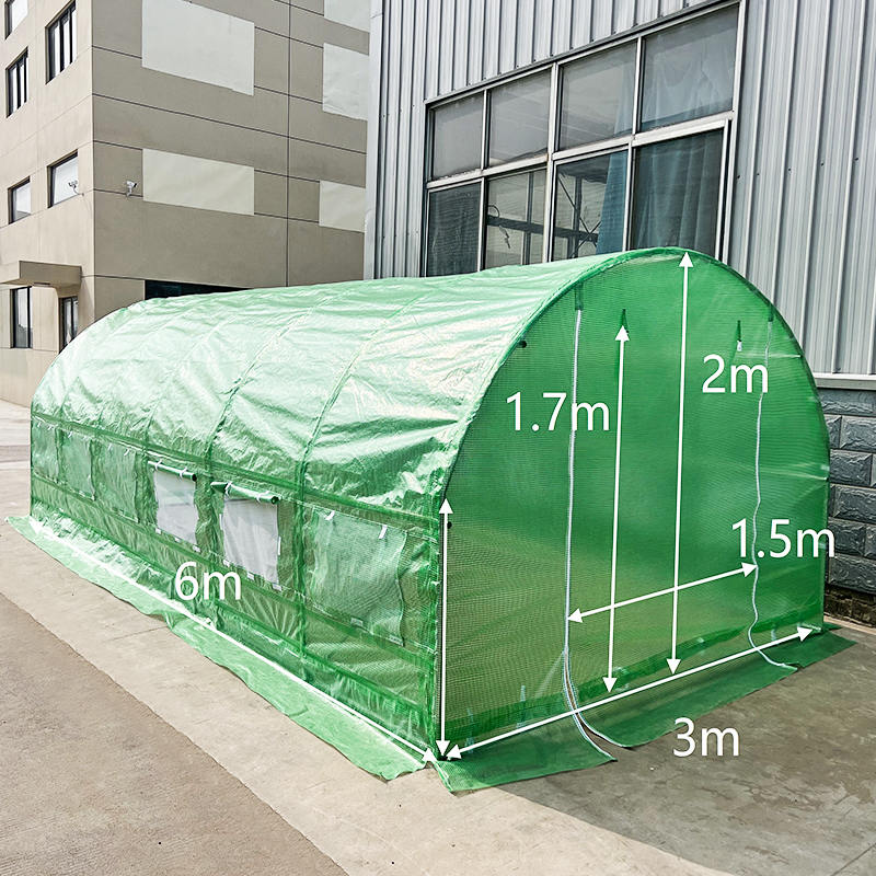 3x6x2m Weatherguard in circuitu Top CONSERVATORIUM & Polytunnel