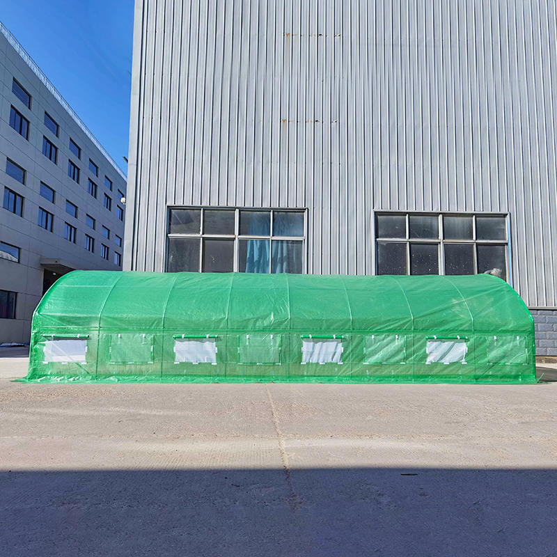 4x8x2m Foil Tunnels Roundtop High cuniculum CONSERVATORIUM