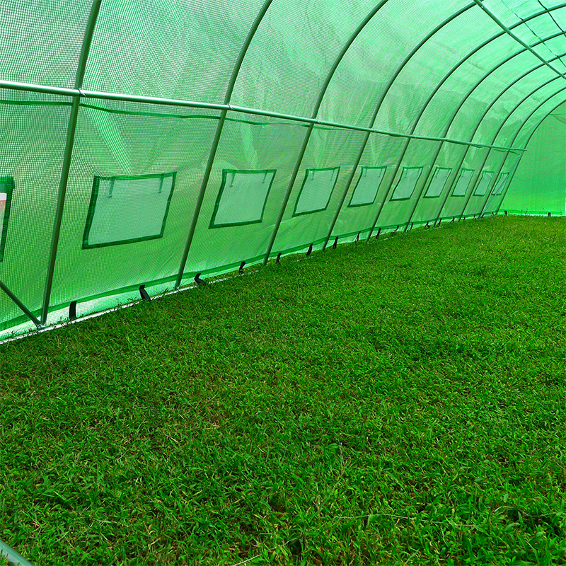 4x10x2.3m Magnae Gravis Officium Polytunnel Greenhouses