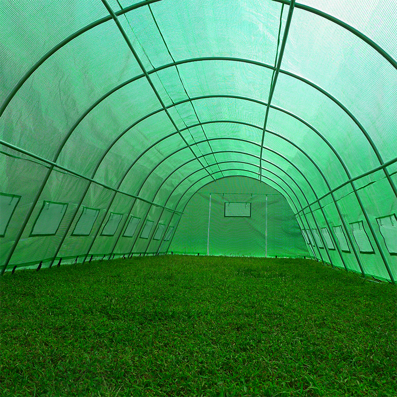 4x10x2.3m Magnae Gravis Officium Polytunnel Greenhouses