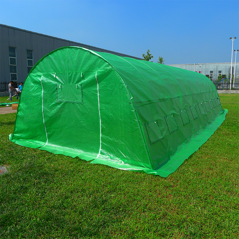 4x10x2.3m Magnae Gravis Officium Polytunnel Greenhouses