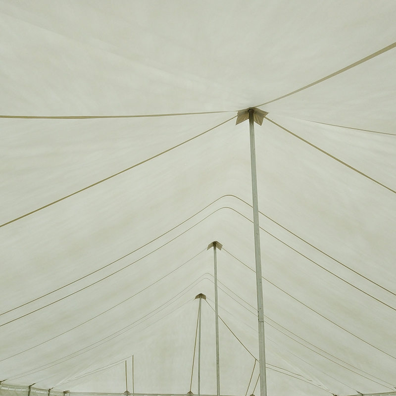 7X12m Traditional PVC Event Pole Tentorium cum Fenestra